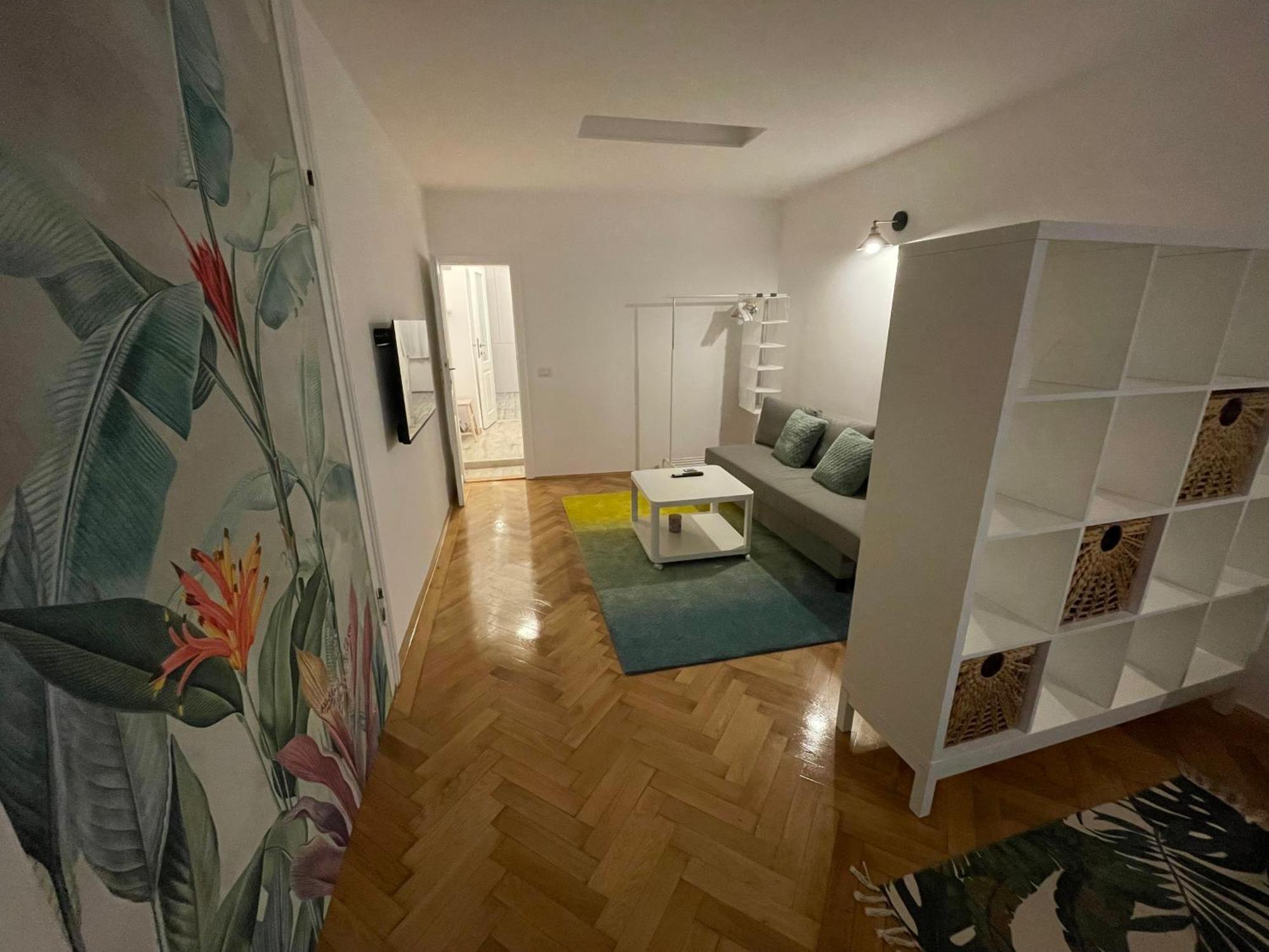 Cozy Stay 布拉索夫 外观 照片
