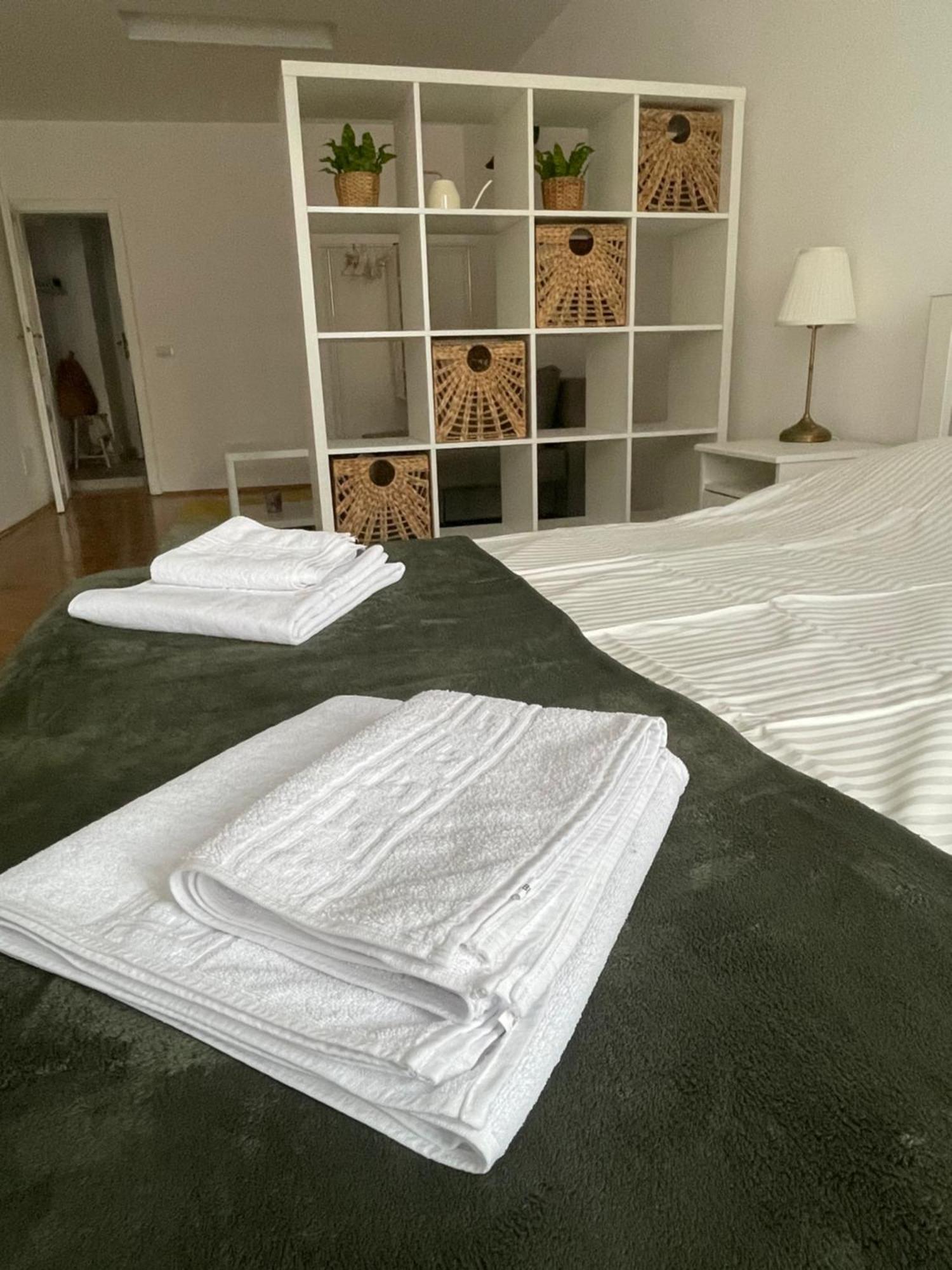Cozy Stay 布拉索夫 外观 照片